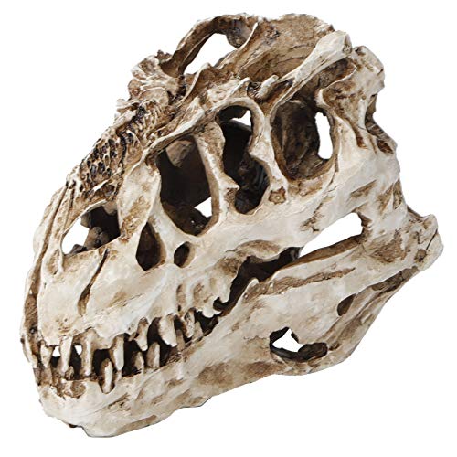 Cikonielf Resina Dinosaurio Modelo de cráneo Personalidad Esqueleto Animal Adornos decoración de la Oficina en casa colección de Halloween Arte artesanía enseñanza Prop