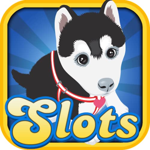 Como perros y gatos Slots Casino en Las Vegas Downtown Juegos de juego gratuito con tus amigos de Android y Kindle Fire