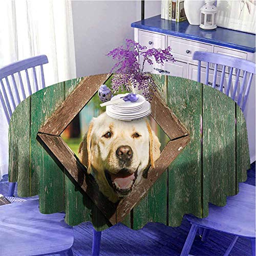 Divertido mantel redondo impreso Curious Dog is looking from Window en antigua valla de madera rústica con impresión alegre de limpieza rápida de 71 pulgadas de diámetro verde bosque marrón