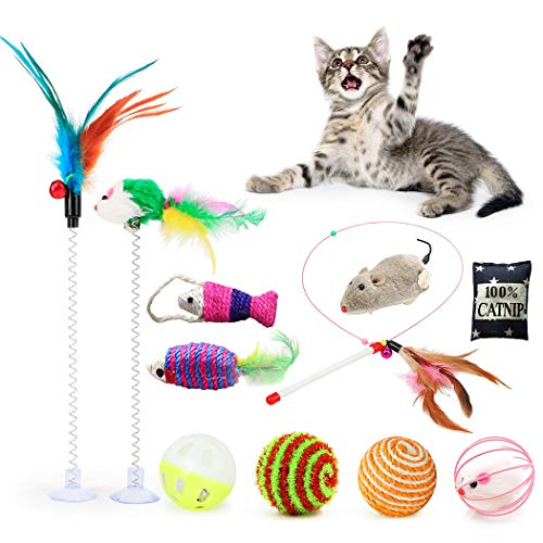 Fansport 11 Piezas Juguetes para Gatos,Juguete Interactivo Gato Juguetes Gatos pequeños con Campanas y Catnip y Bolas Varias para Gatos