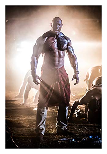 Fast & Furious Hobbs & Shaw - Póster de la película Dwayne Johnson Jason Statham Idris Elba, Vanessa Kirby Eiza González, tamaños 8 x 10 11 x 17 16 x 20 22 x 28 24 x 36 27 x 40 #3 (20 cm) Fast & Furious Hobbs & Shaw - Póster de la película Dwayne Johnson Jason Statham Idris Elba, Vanessa Kirby Eiza González, tamaños 8 x 10 11 x 17 16 x 20 22 x 28 24 x 36 27 x 40 #3 (20 cm)