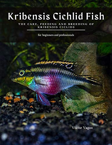 Kribensis Cichlid Fish: The Care, Feeding and Breeding of Kribensis Ciclids (English Edition)