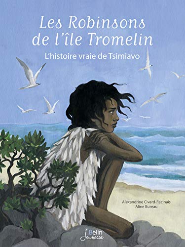 Les Robinsons de l'ile Tromelin: L'histoire vraie de Tsimiavo