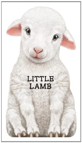 Little Lamb: Look at Me