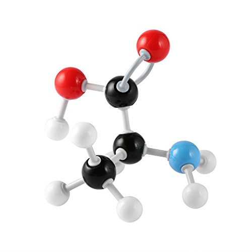 Molecular Model Kit (240 piezas) Juego de química avanzada con guía de instrucciones – Química Estructura Kit para química profesores, alumnos y jóvenes científicos con átomos, bonos y orbitals