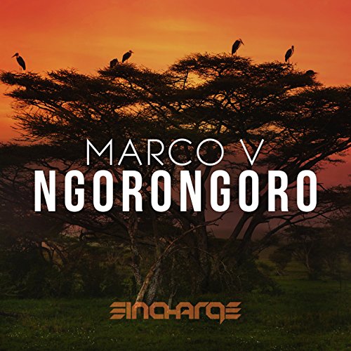 Ngorongoro (Original Mix)