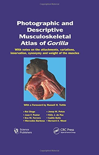 Photographic and Descriptive Musculoskeletal Atlas of Gorilla: With Notes on the Attachments, Variations, Innervation, Synonymy and Weight of the Muscles (2011-01-21)
