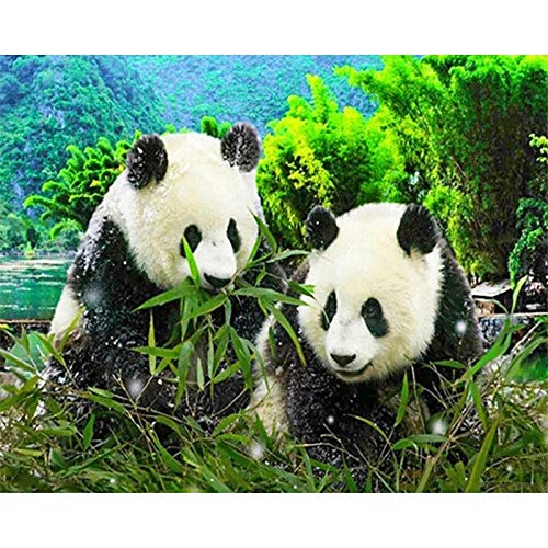 Pintura Diamante Taladro Completo Digital Mosaico Kits, Panda 5D DIY Adultos Niños Diamond Painting Bordado Crystal Punto Cruz Lienzo Craft Hogar Pared Decoración Regalo Square Drill,25x30cm Pintura Diamante Taladro Completo Digital Mosaico Kits, Panda 5D DIY Adultos Niños Diamond Painting Bordado Crystal Punto Cruz Lienzo Craft Hogar Pared Decoración Regalo Square Drill,25x30cm