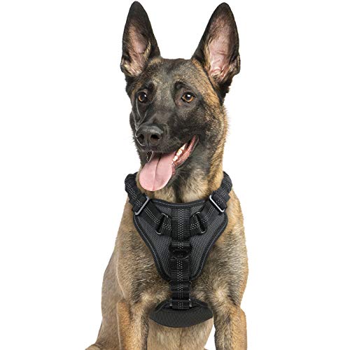 rabbitgoo Arnes Perros Arnés Chaleco Antitirones para Perros Grandes y Medianos con Correas Elásticas para Absorber Golpes Ajustable para Caminar con Asa de Fácil Control Reflectante, Negro L rabbitgoo Arnes Perros Arnés Chaleco Antitirones para Perros Grandes y Medianos con Correas Elásticas para Absorber Golpes Ajustable para Caminar con Asa de Fácil Control Reflectante, Negro L