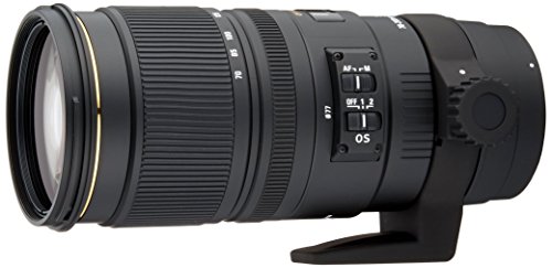 Sigma Sigma 70-200mm f2.8 EX DG OS HSM NAF - Objetivo para Nikon (Distancia Focal 70-200mm, Apertura f/2.8-22, estabilizador) Color Negro