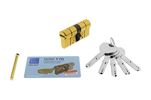 TESA 3019000 Cilindro Seguridad T70 30x30 Latonado Leva Larga, 30x30 mm