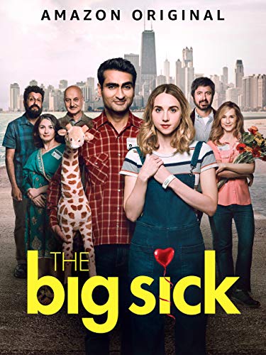 The Big Sick The Big Sick