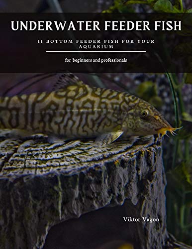 UNDERWATER FEEDER FISH: 11 Bottom Feeder Fish For Your Aquarium (English Edition)