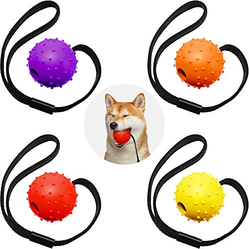 4 Piezas Bolas de Perro en Una Cuerda Pelota Entrenamiento Interactiva Pelota Juguete en Una Cuerda Perros Juguete Recompensa y Ejercicio para Perro Pequeño Mediano Grande Buscar, Atrapar, Tirar