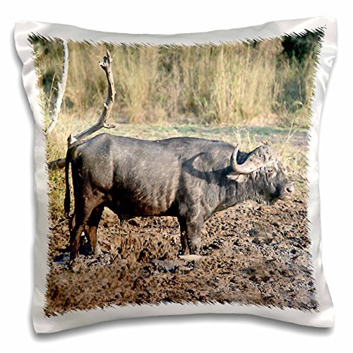 Angelique Cajam Safari Buffalos - South African Buffalo in mud side view - 16x16 inch Pillow Case