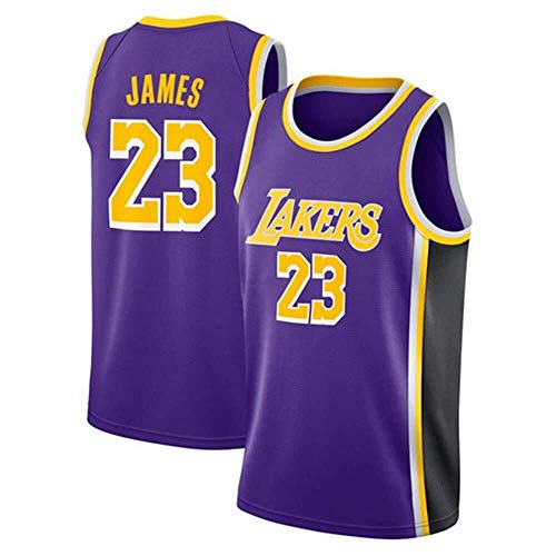 ASSD Camiseta para hombre de la NBA Lakers 23# James bordada de malla de baloncesto Swingman (color: morado, talla: L)