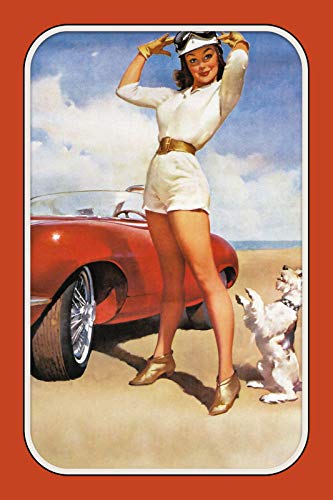 Cartel de chapa para mujer con perro y coche de carreras, de metal lacado, 20 x 30 cm