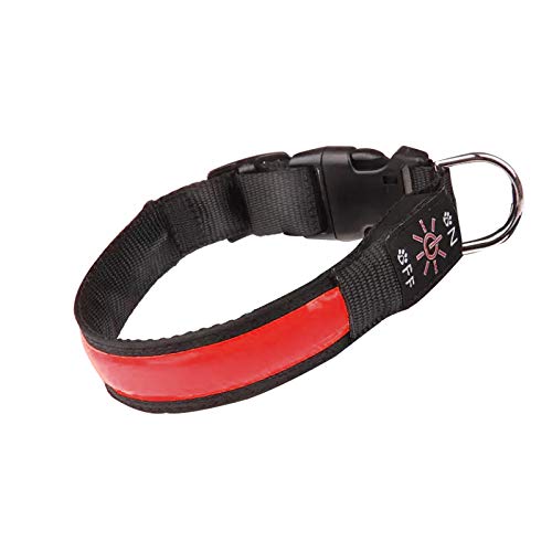 Collar de Perro LED Iluminado Collar de Perro USB Recargable Impermeable,Banda Nocturna para Perros con 3 Modos de Brillo,Hace Que su Perro Sea Visible,Seguro y Visto (Red, S)