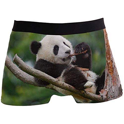 Cute Panda Animal Branch Boxer Briefs para Hombres Boy Youth Ropa Interior para Hombres Poliéster Spandex Transpirable