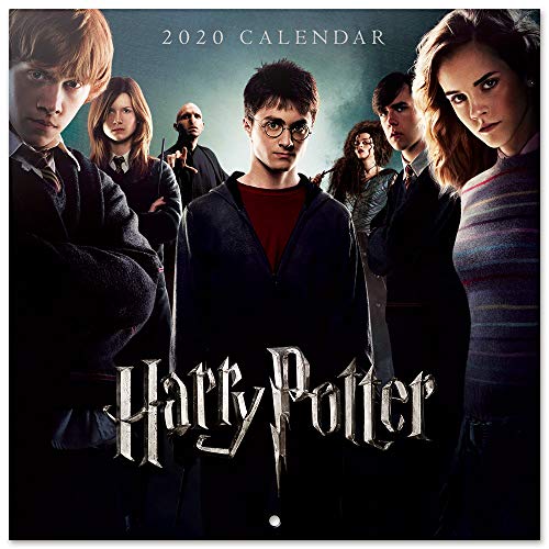 Erik, Calendario de Pared 2020 Harry Potter, Incluye Póster de Regalo, 30 x 30 cm
