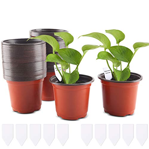 FORMIZON 100 Piezas Macetas de Plástico, 10 cm Plantas Pequeña Macetas de Vivero de Plástico con 10 Etiquetas, Macetas de Plástico para Plantas, Flores y Jardinería FORMIZON 100 Piezas Macetas de Plástico, 10 cm Plantas Pequeña Macetas de Vivero de Plástico con 10 Etiquetas, Macetas de Plástico para Plantas, Flores y Jardinería