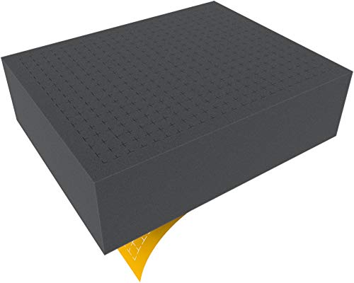 FS100RS 100 mm (4 Inch) Figure Foam Tray Full-Size Raster Self-Adhesive