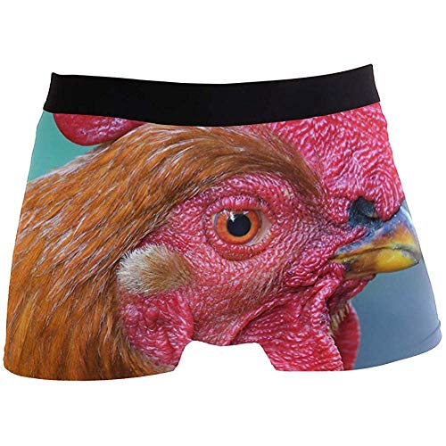 Hombres Boxer Briefs Bird Animal Poultry Cockscomb Underwear For Boy Youth Hombres Poliéster Spandex Transpirable