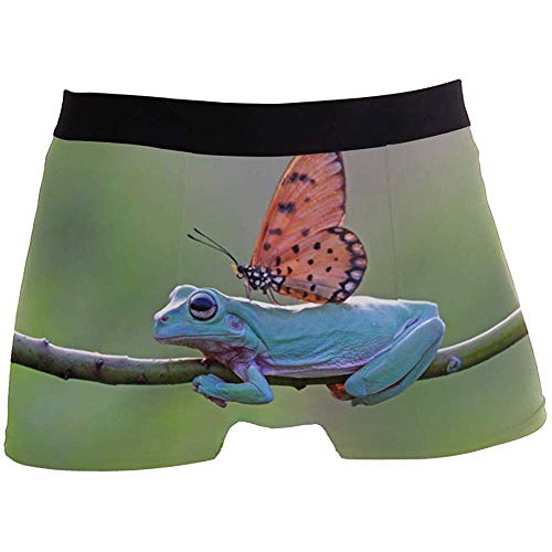 Hombres Boxer Briefs Blue Frog with Butterfly Animal Underwear For Boy Youth Hombres Poliéster Spandex Transpirable
