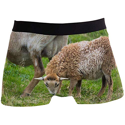 Hombres Boxer Briefs Lamb Sheep Mutton Pasture Animal Underwear For Boy Youth Hombres Poliéster Spandex Transpirable