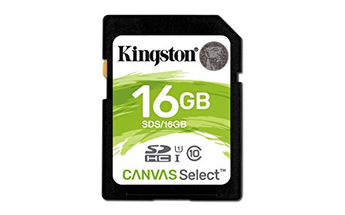 Kingston SDS/16GB Tarjeta de Memoria Sd 11, 16 gb, Negro