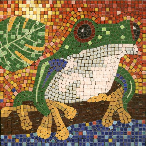 kit de mosaico, 20x20cm, Rana