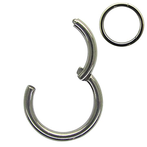 NewkeepsR 14G G23 Anillo de Segmento de Clicker con Bisagras de Titanio Sólido Anillo de Boquilla de Pendiente de Cartílago Pendiente de Tragus Aro de Labios (diámetro Interior 7mm) NewkeepsR 14G G23 Anillo de Segmento de Clicker con Bisagras de Titanio Sólido Anillo de Boquilla de Pendiente de Cartílago Pendiente de Tragus Aro de Labios (diámetro Interior 7mm)