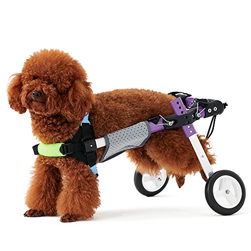 RUNGAO - Kit de 2 ruedas para silla de ruedas con cuerda de tracción para perros discapacitados y cachorros con soporte abdominal (XS)