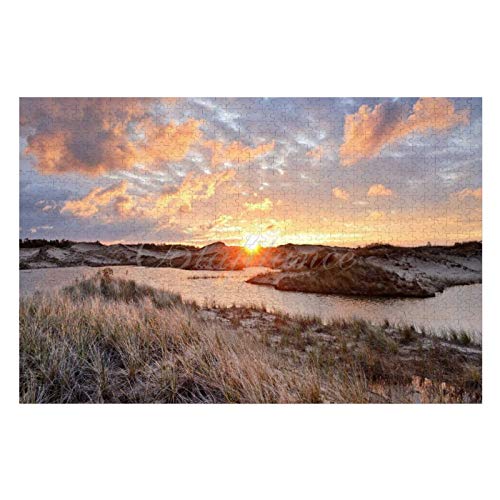 Scott397House Jigsaw Puzzles 1000 Pieces for Adults, Large Piece Puzzle Dune Splendor Ludington State Park Michigan Stock R26 Fun Game Toys Birthday Gifts Fit Together