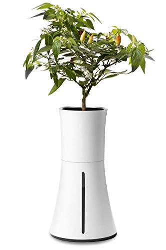 Senatis Botanium - Juego completo de plantas (incluye solución nutritiva, sustrato y recipiente para plantas con depósito de agua, versión europea), color blanco