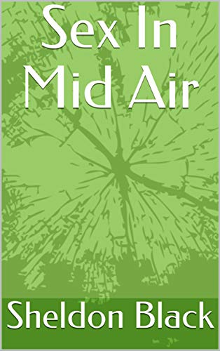 Sex In Mid Air (English Edition)