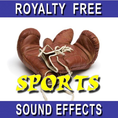 Sports Sound / People Talk at Football Game 2