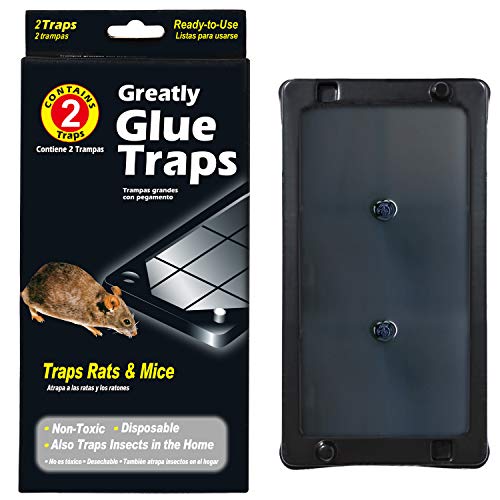 Wanke Trampas para Ratones Trampa Adhesiva para Ratas Control de Ratones Trampas para Cucarachas Súper Pegajoso, Paquete de 15 Cajas / 30 Piezas