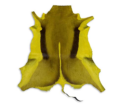 Zerimar Alfombra Piel de Gacela Sudafricana Natural Premium | Medidas: 110x85 cms | Alfombra Salón | Alfombra Decoracion | Alfombra Dormitorio Zerimar Alfombra Piel de Gacela Sudafricana Natural Premium | Medidas: 110x85 cms | Alfombra Salón | Alfombra Decoracion | Alfombra Dormitorio