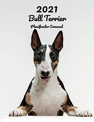 2021 Bull Terrier Planificador Semanal: 123 Páginas | Tamaño A4 | Calendario | 14 Meses | 1 Semana en 2 Páginas | Agenda Semana Vista | En español | Perro