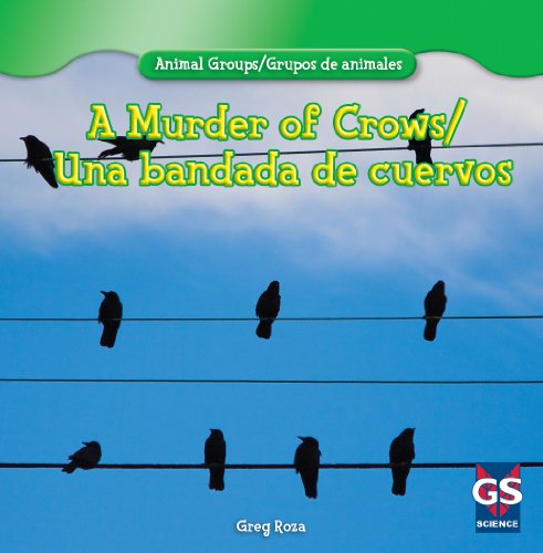 A Murder of Crows / Una bandada de cuervos (Animal Groups / Grupos de animales)