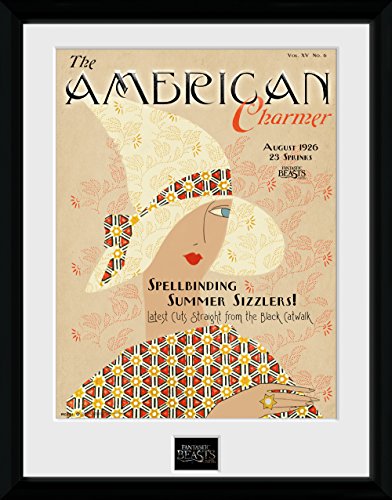 Fantástico Bestias American Charmer – Cuaderno (con Marco fotográfico impresión, 30 x 40 cm