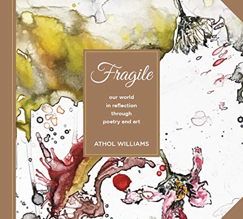 Fragile (English Edition)