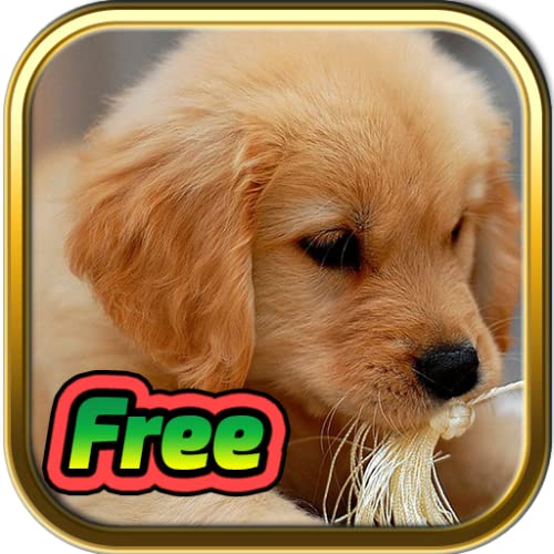 Free Cute Puppy Jigsaw Puzzle Games