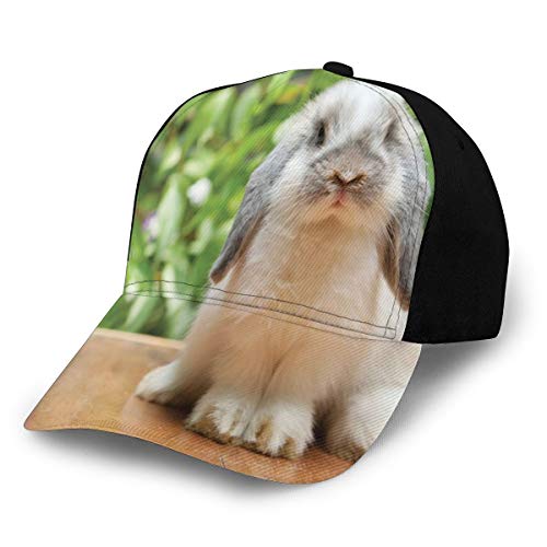 Hip Hop Sun Hat Baseball Cap,Photo of A Holland Lop Rabbit Standing On A Wooden Board Green Plants At Background,For Men&Women