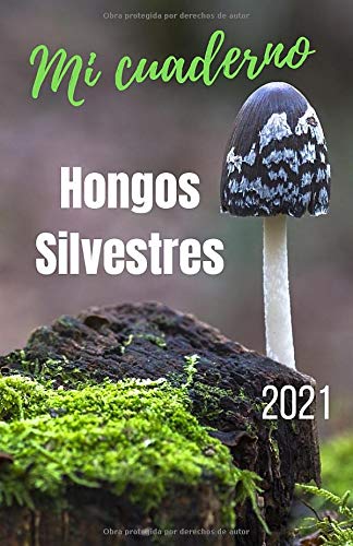 Mi cuaderno Hongos silvestres 2021: Cuaderno de recogida de setas silvestres | Micólogos aficionados y expertos | Fichas técnicas detalladas en color ... cm x 21,6 cm (5,5'' x 8,5'') | 50 páginas |