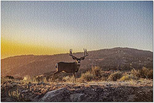 Mula ciervo en las colinas de California al atardecer 9021677 (1000 piezas de rompecabezas premium para adultos y familias, 19 x 27) -1000 piezas de rompecabezas