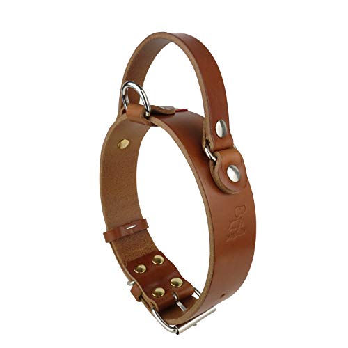 Nuevo Collar de Perro Mediano Grande con Mango (Labrador Golden Retriver Pastor alemán Bulldog Amstaff Pitbull Cachorro Adulto Joven) Cuero Resistente Real (Collar con Asa L 43-54 H4.0 cm, Coñac)