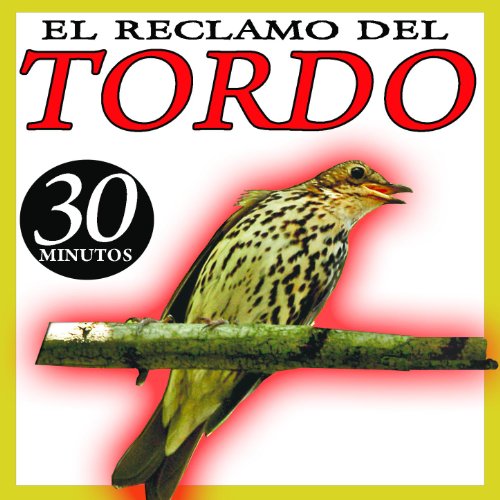 Reclamo Para Tordos Cantos De Pajaros Zorzal