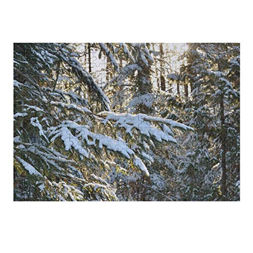 Scott397House Jigsaw Puzzles 300 Pieces for Adults, Large Piece Puzzle Wintry Woods at Trails End Michigan R47 Fun Game Toys Birthday Gifts Fit Together